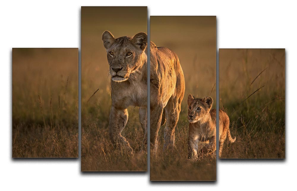 A beautiful 4-split canvas artwork featuring a mom lioness with her cub, showcasing vibrant colors and intricate details.