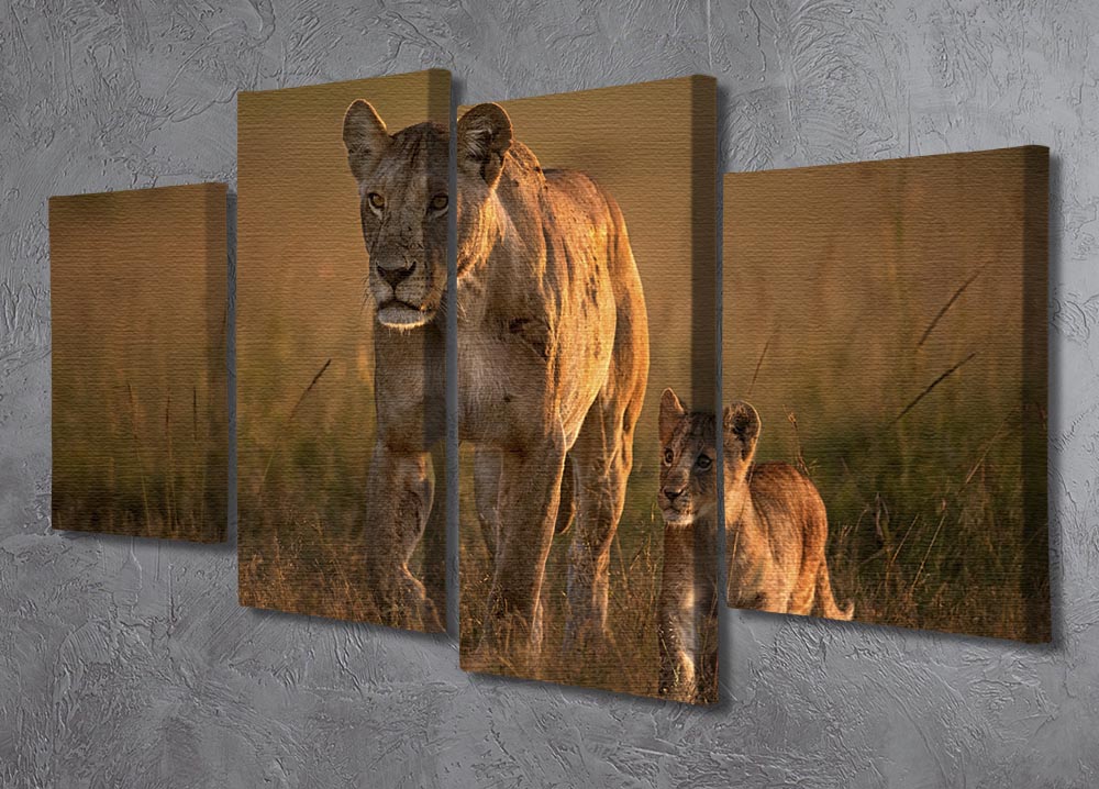 A beautiful 4-split canvas artwork featuring a mom lioness with her cub, showcasing vibrant colors and intricate details.