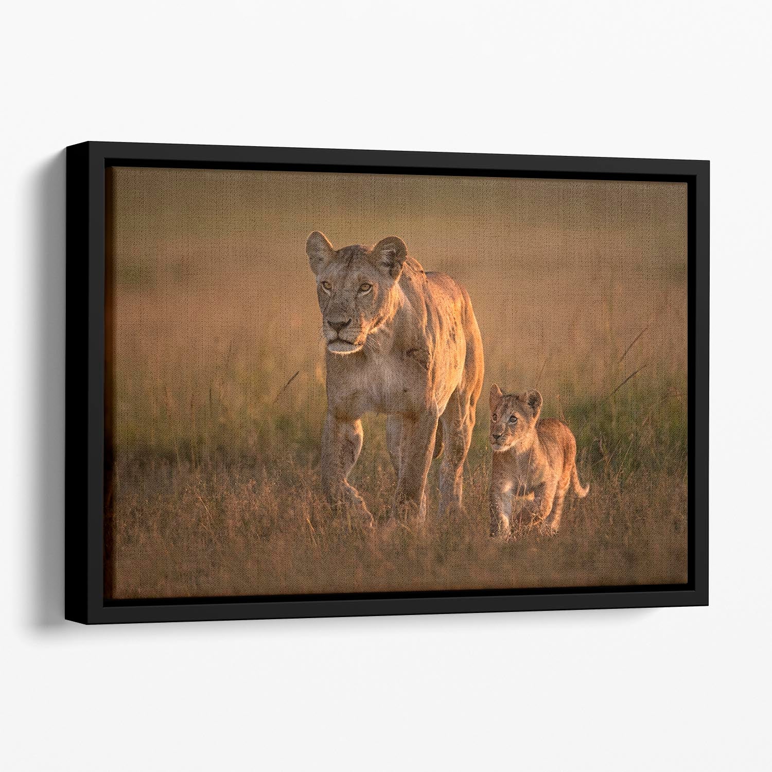 Mom lioness with her cub depicted in vibrant abstract art, framed elegantly to create a floating effect.