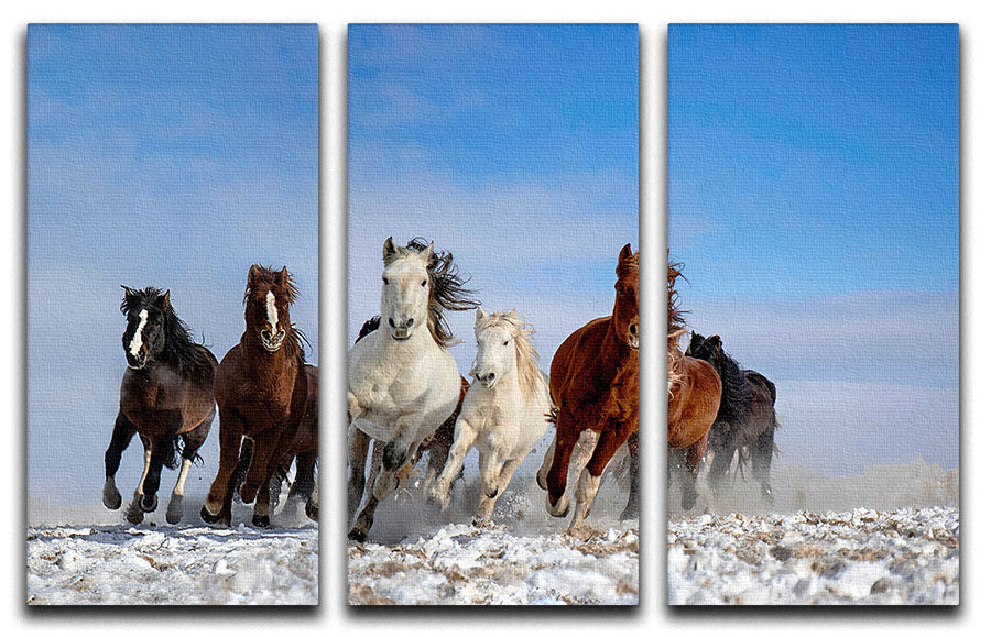 Mongolia Horses 3 Split Panel Canvas Print showcasing three panels of majestic horses in a natural setting.