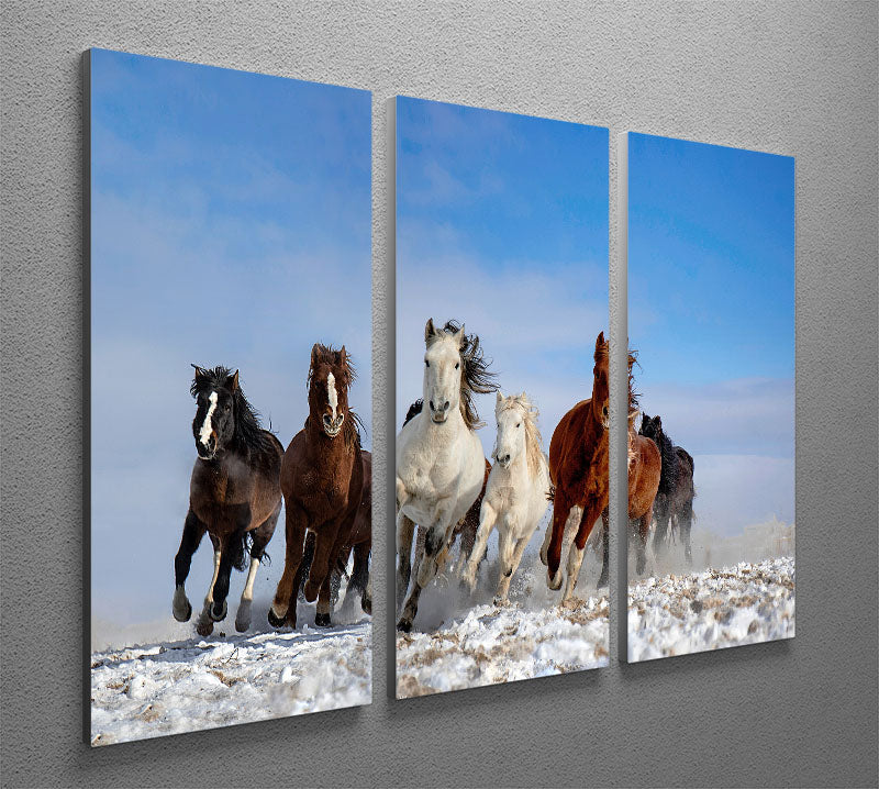 Mongolia Horses 3 Split Panel Canvas Print showcasing three panels of majestic horses in a natural setting.