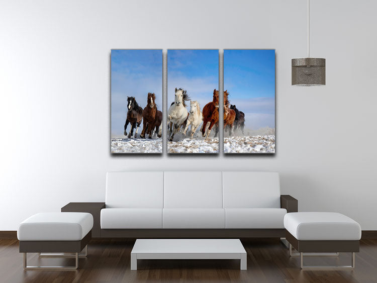 Mongolia Horses 3 Split Panel Canvas Print showcasing three panels of majestic horses in a natural setting.