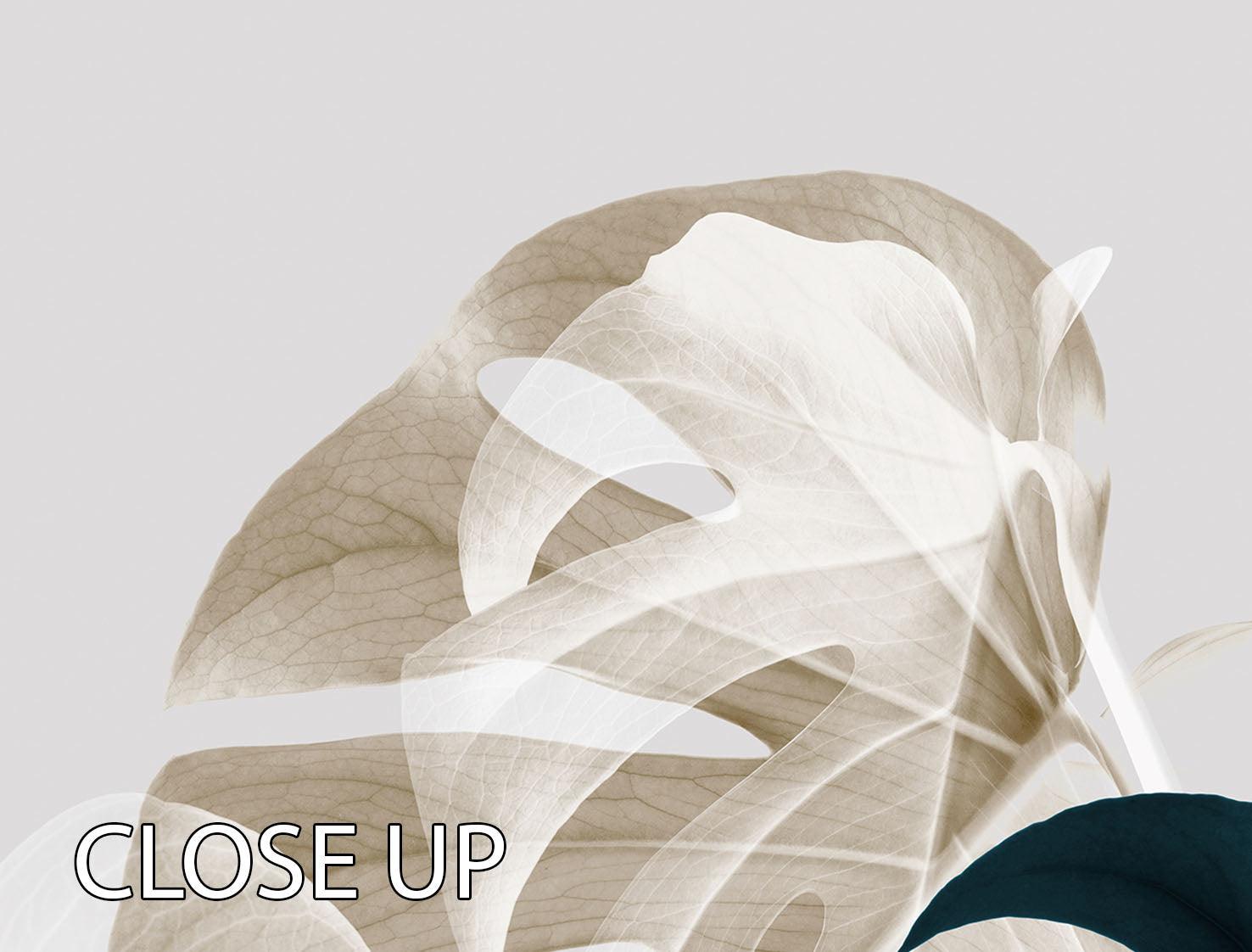 Monstera Creative 05 3 Split Panel Canvas Print featuring vibrant colors and modern design, perfect for home decor.