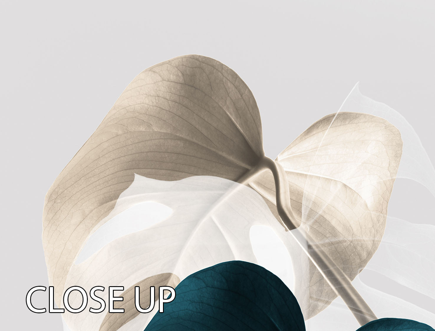 Monstera Creative 10 3 Split Panel Canvas Print showcasing vibrant colors and elegant design, perfect for home decor.