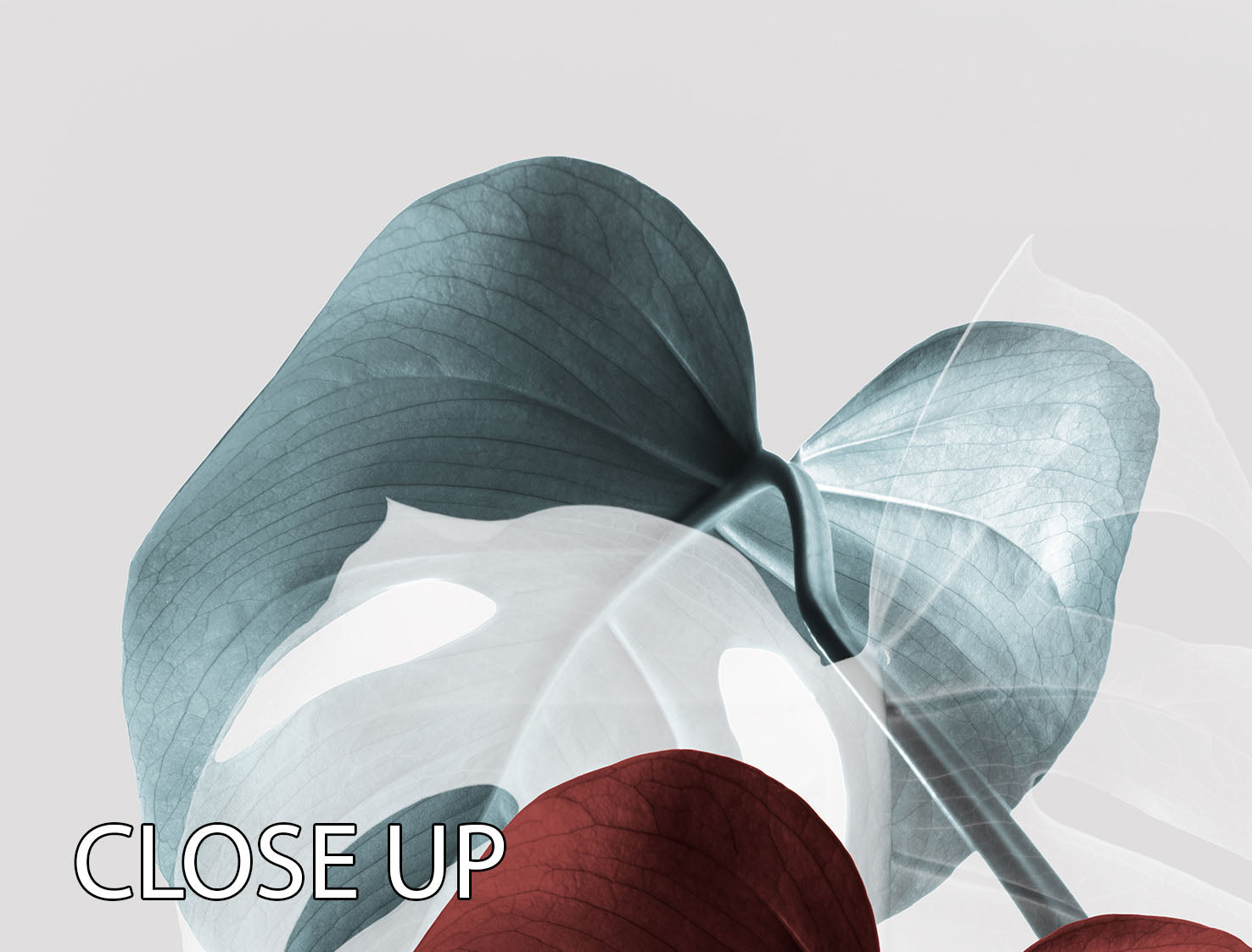 Monstera Creative 15 3 Split Panel Canvas Print showcasing vibrant colors and intricate designs, perfect for home decor.