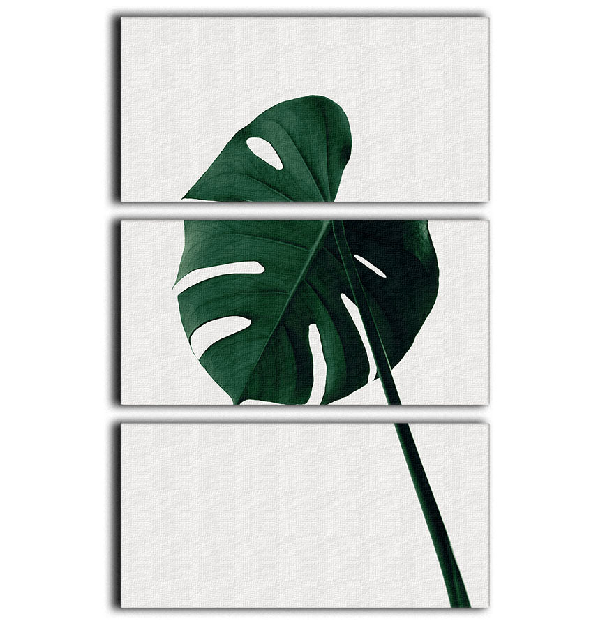 Monstera Natural 07 3 Split Panel Canvas Print showcasing vibrant green monstera leaves on a stylish canvas.
