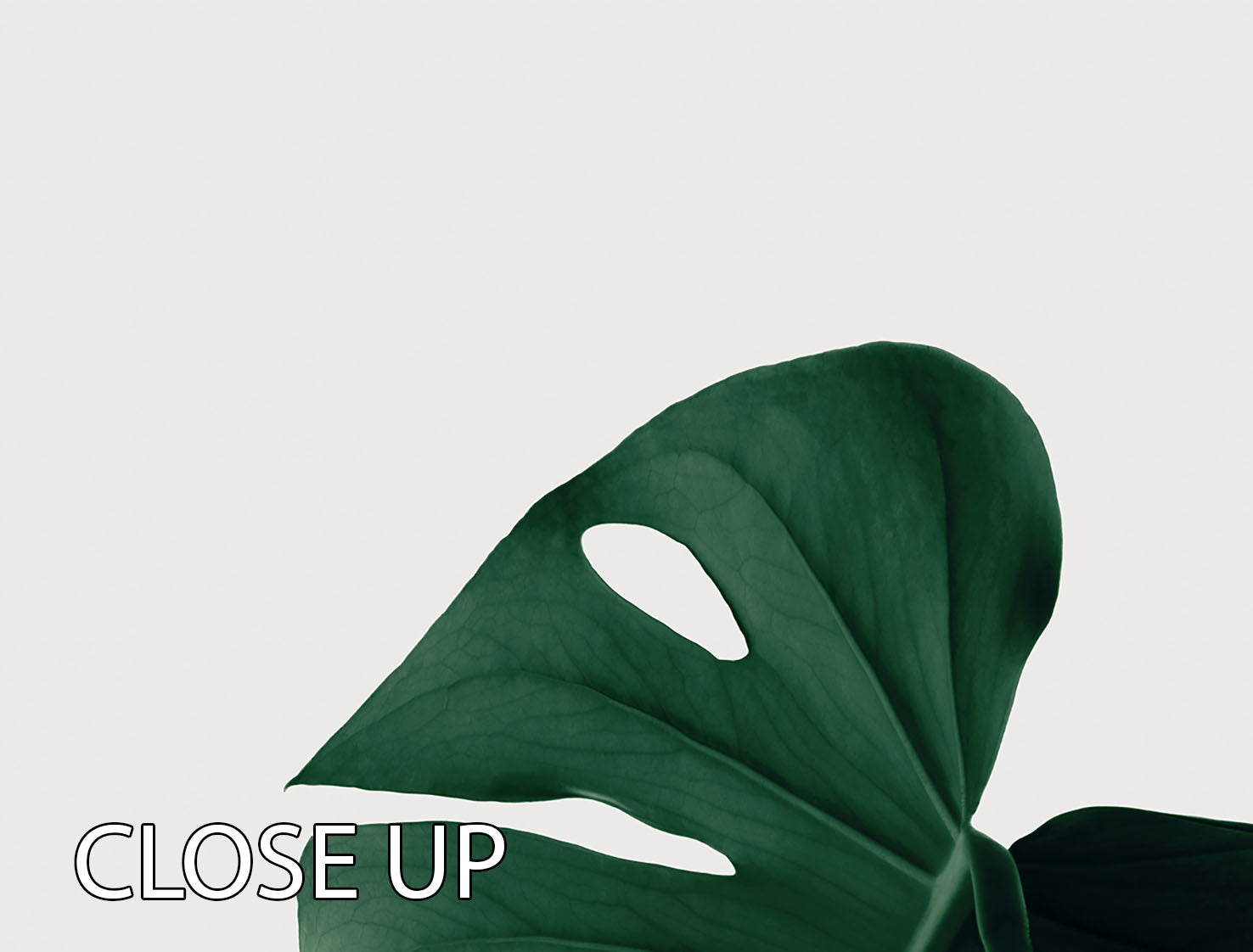 Monstera Natural 07 3 Split Panel Canvas Print showcasing vibrant green monstera leaves on a stylish canvas.