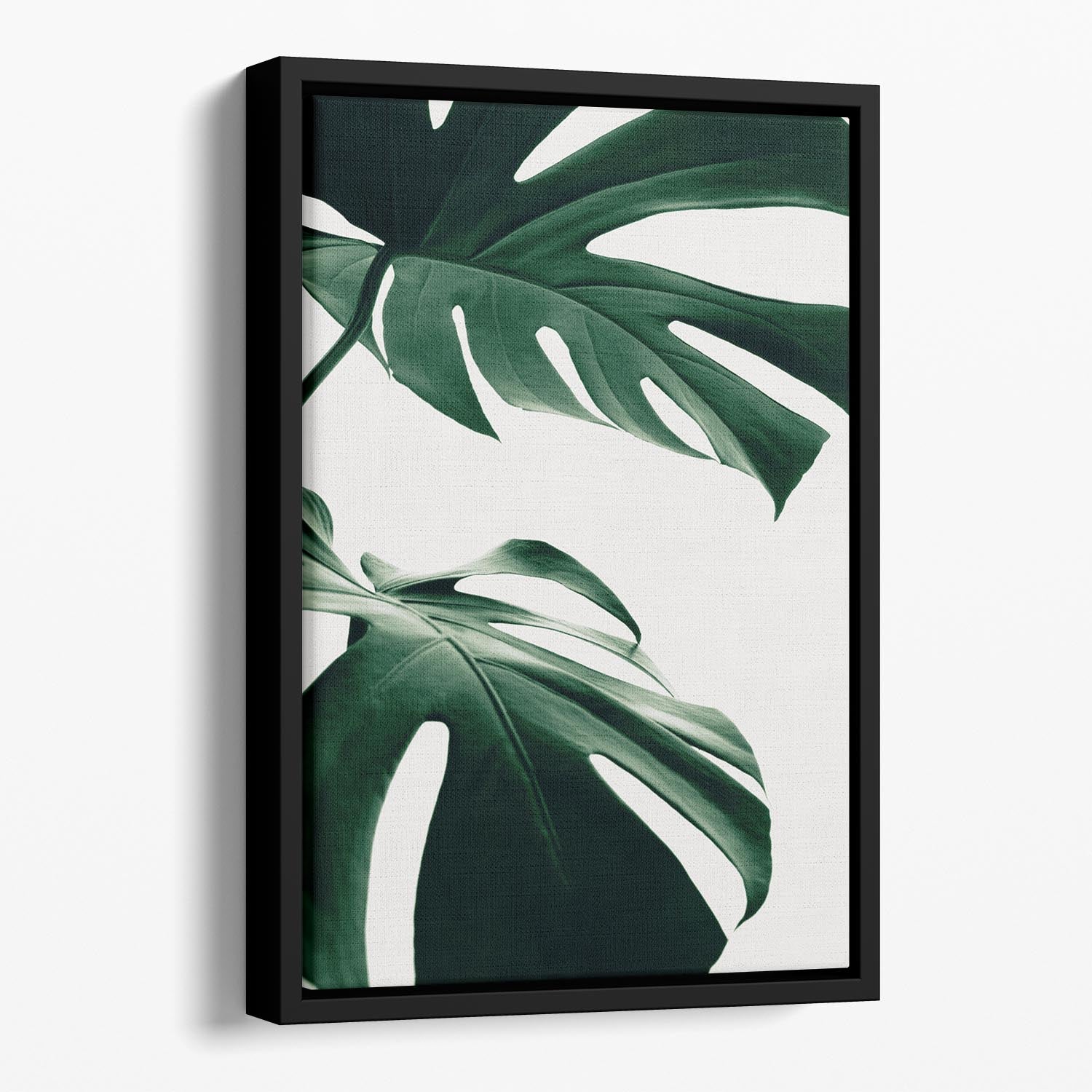 Monstera Natural 12 Floating Framed Canvas featuring vibrant abstract design in an elegant wooden frame.