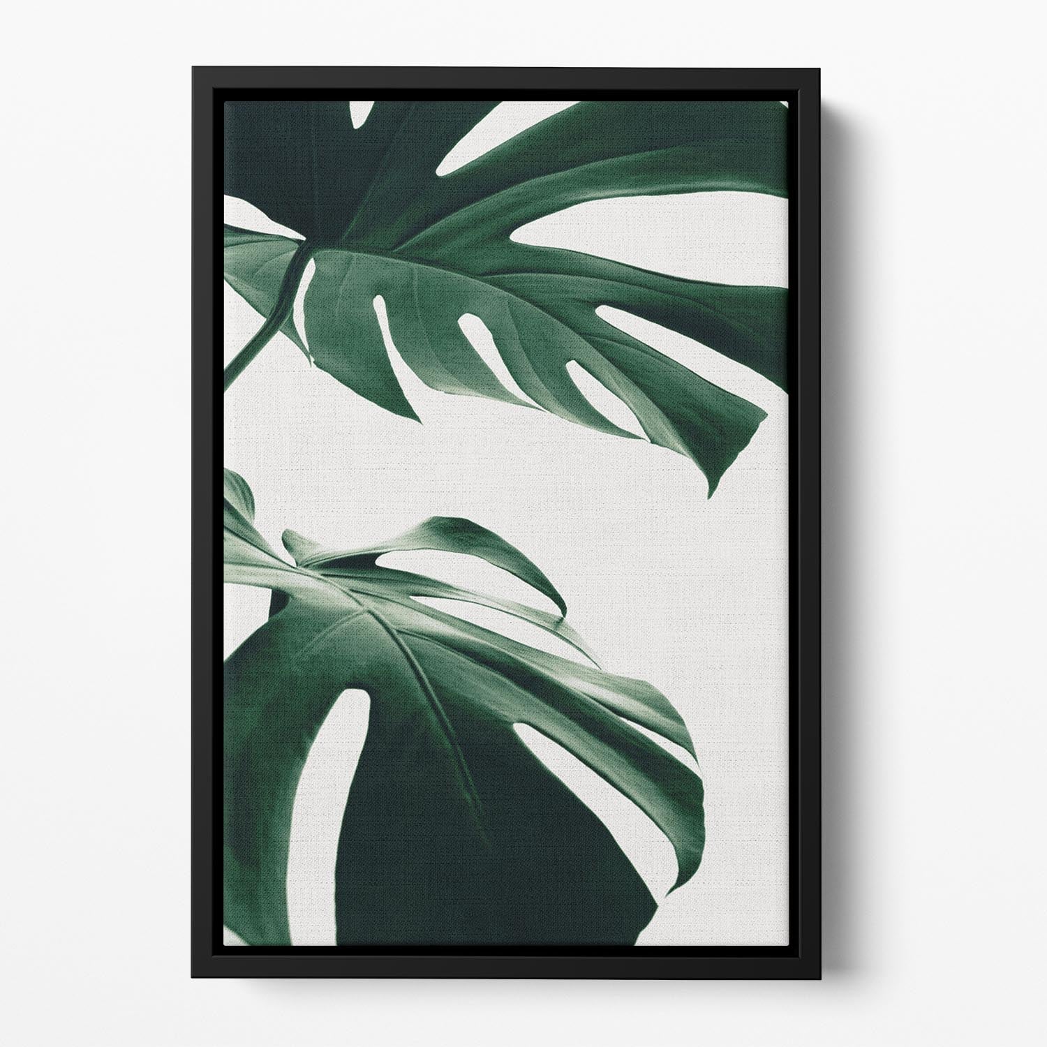 Monstera Natural 12 Floating Framed Canvas featuring vibrant abstract design in an elegant wooden frame.