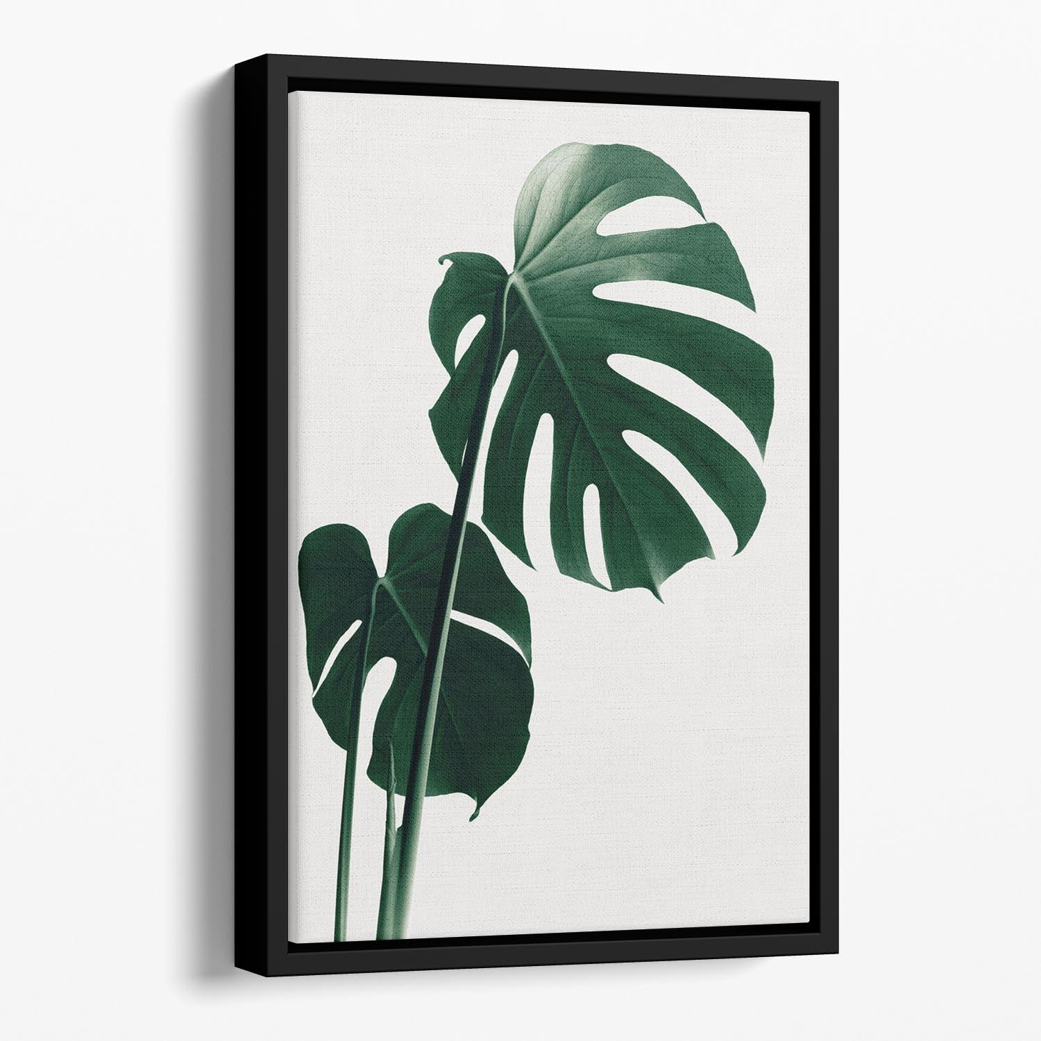 Monstera Natural 16 Floating Framed Canvas featuring vibrant abstract design in an elegant wooden frame.