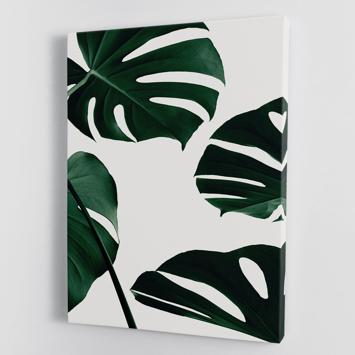 Monstera Natural 20 Canvas Print showcasing vibrant green leaves on a high-quality canvas, perfect for home decor.