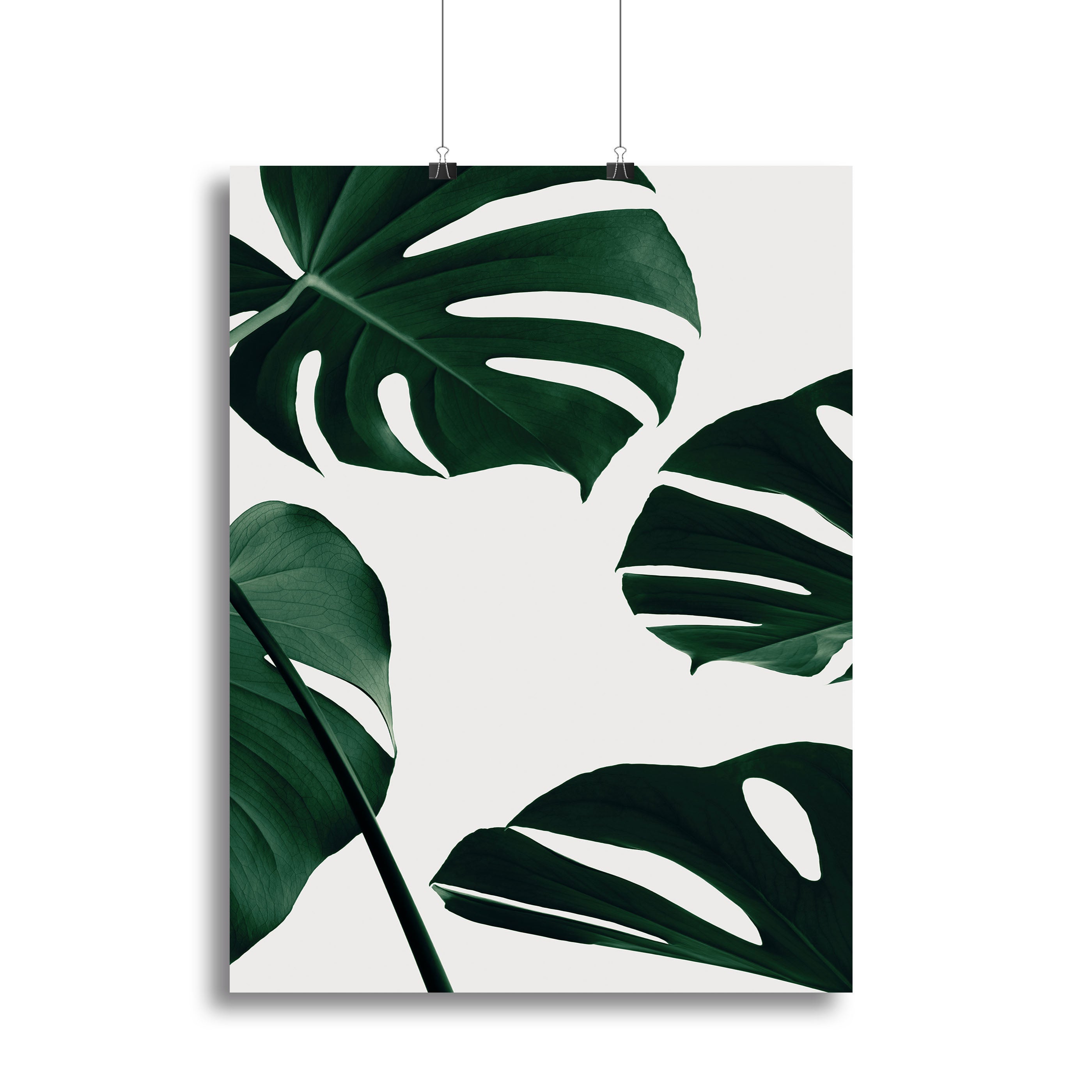 Monstera Natural 20 Canvas Print showcasing vibrant green leaves on a high-quality canvas, perfect for home decor.
