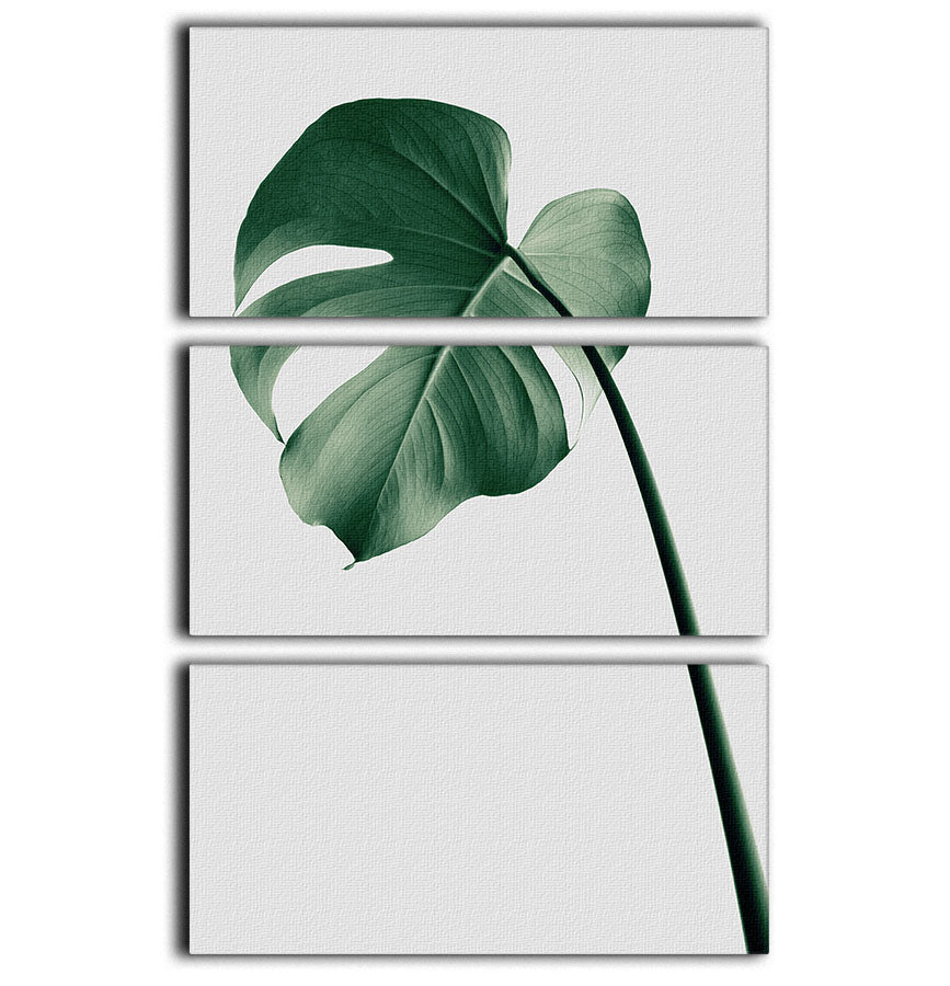 Monstera Natural 36 3 Split Panel Canvas Print showcasing vibrant green leaves on a stylish canvas.