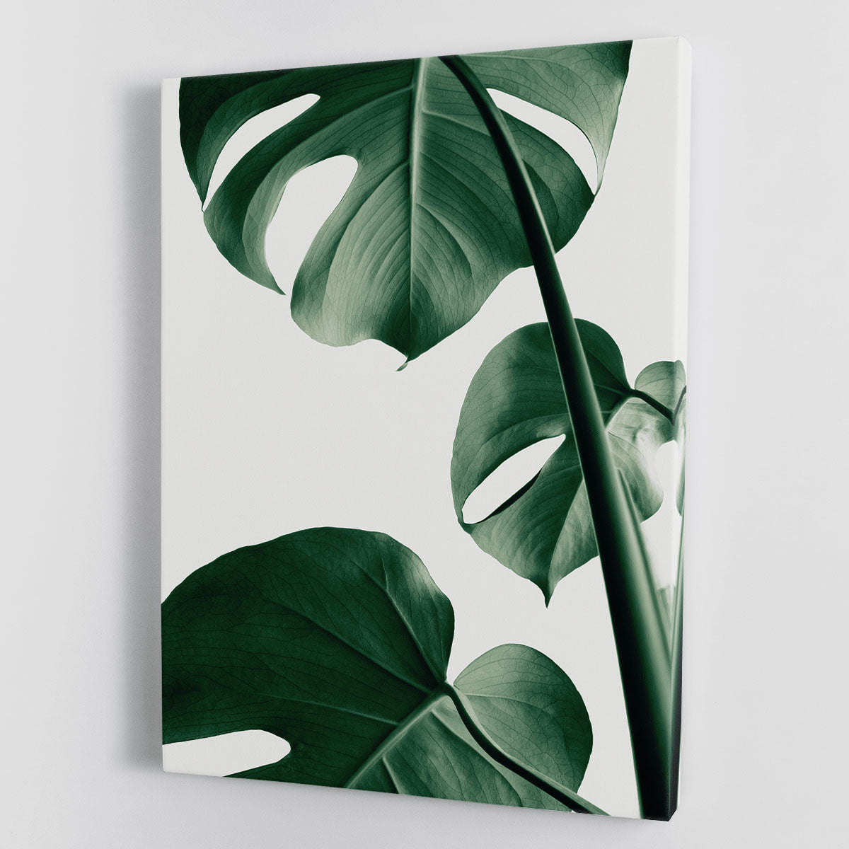 Monstera Natural 37 canvas print featuring vibrant green leaves on a textured background, perfect for modern decor.