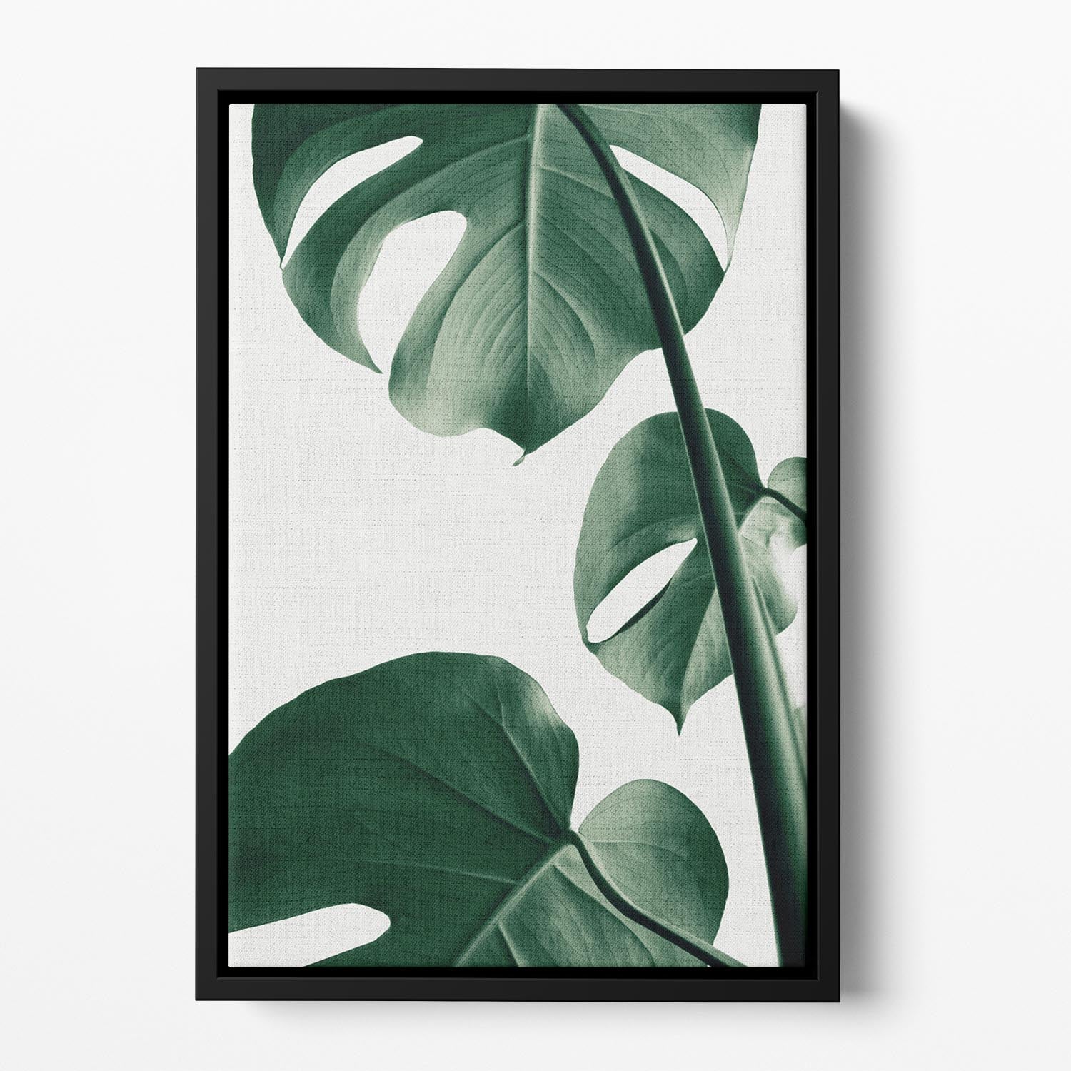 Monstera Natural 37 Floating Framed Canvas featuring vibrant green leaves in an elegant wooden frame.