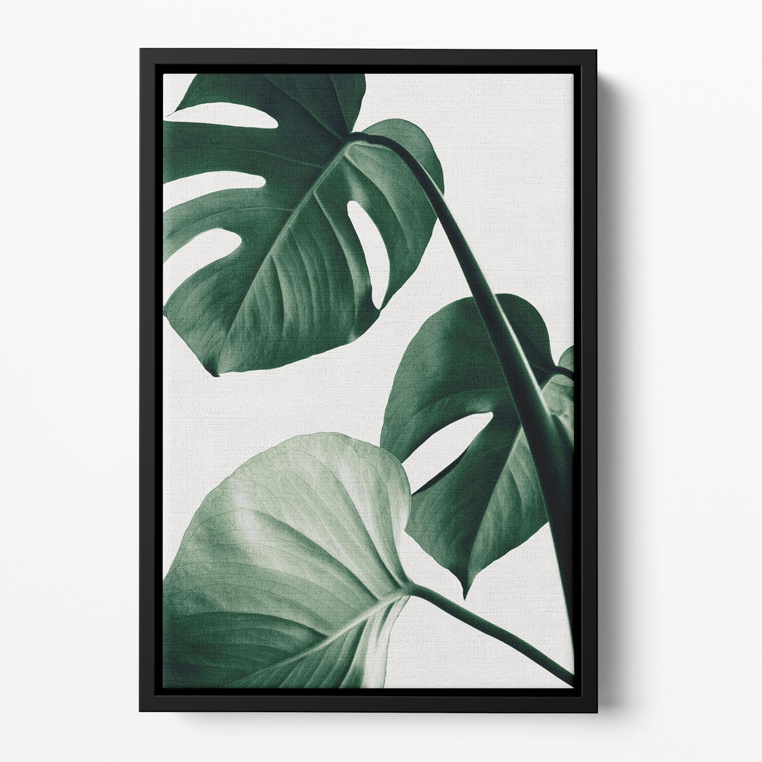 Monstera Natural 42 Floating Framed Canvas featuring vibrant monstera leaf design in an elegant floating frame.
