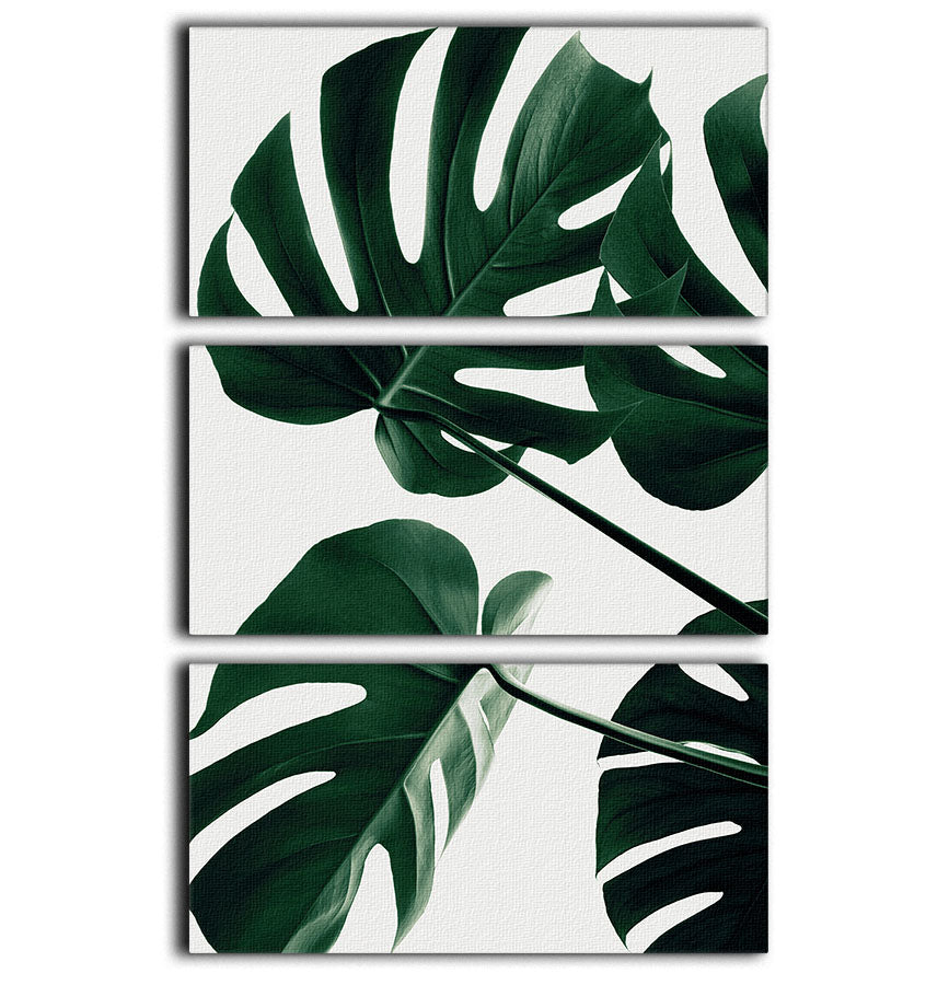 A beautiful 3-panel canvas print featuring Monstera leaves, showcasing vibrant colors and intricate details, perfect for home decor.