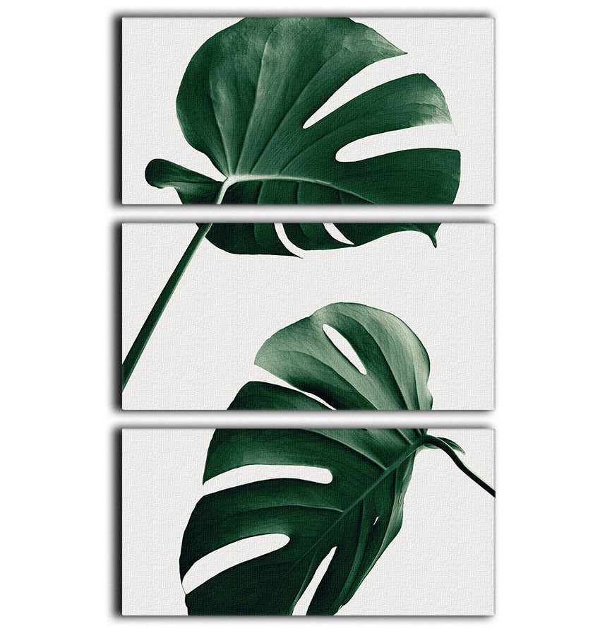 Monstera Natural 46 3 Split Panel Canvas Print featuring lush green monstera leaves on a stylish three-panel design.