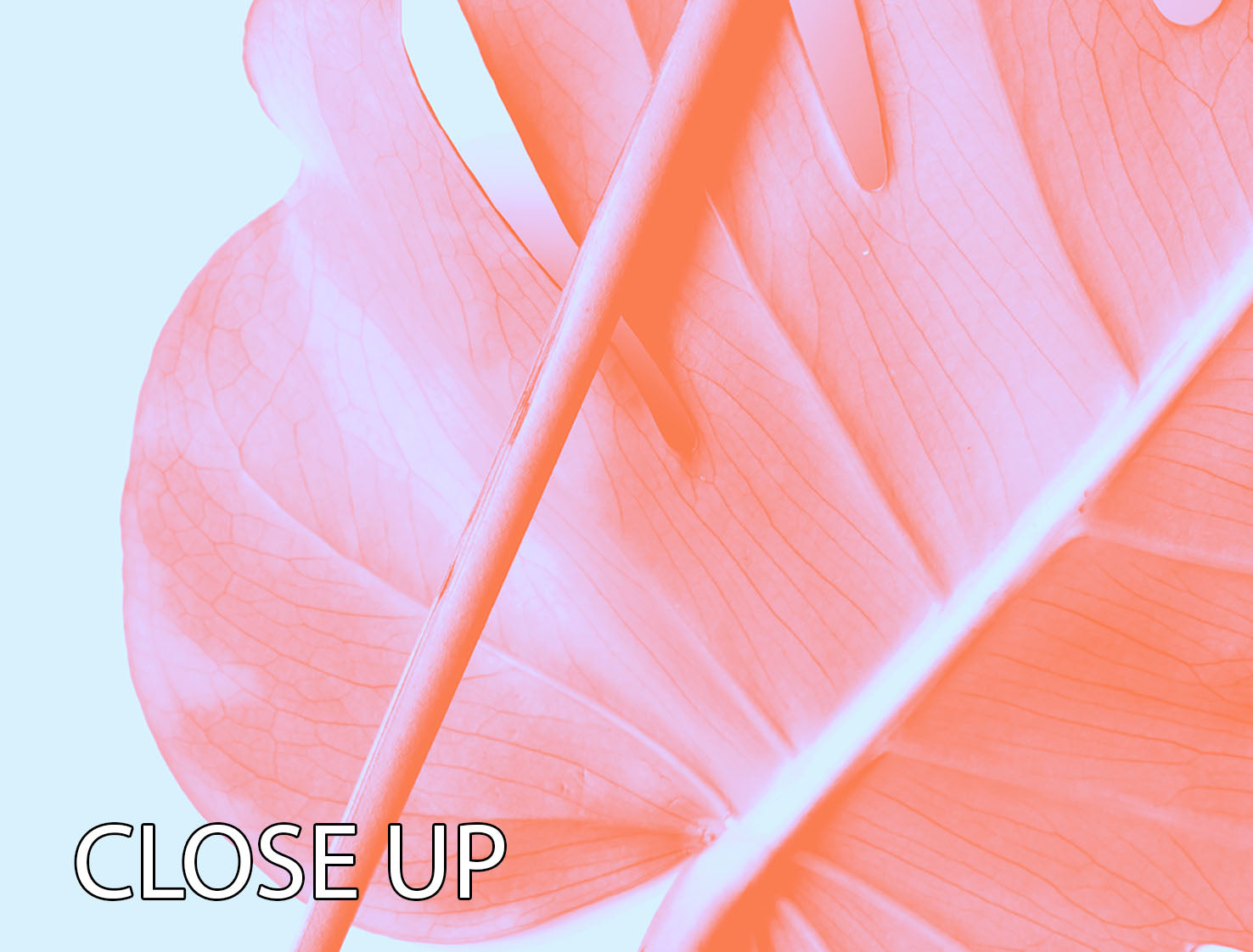 Monstera Orange 04 3 Split Panel Canvas Print featuring vibrant colors and intricate details, perfect for home decor.