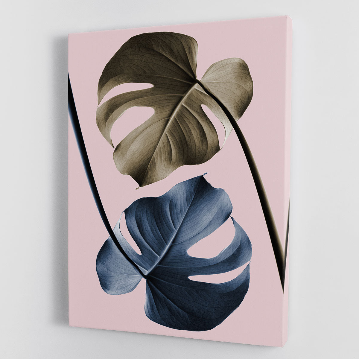 Monstera Pink Light 02 Canvas Print featuring vibrant pink monstera leaves on a white background, perfect for home decor.