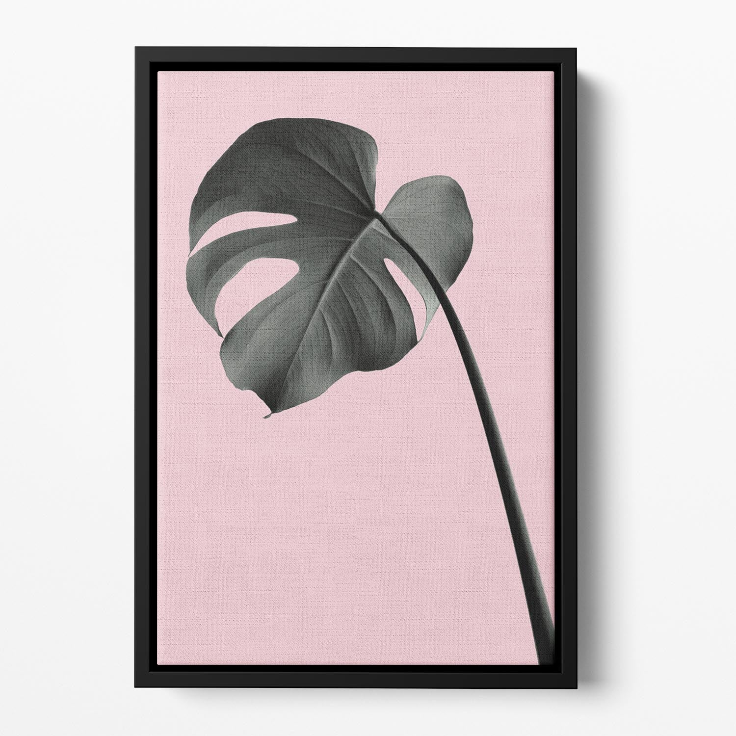 Monstera Pink No 02 Floating Framed Canvas showcasing vibrant colors and elegant design.