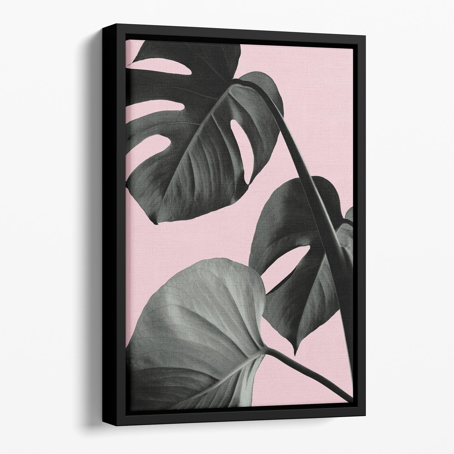 Monstera Pink No 04 Floating Framed Canvas featuring vibrant pink and green abstract design in a handcrafted wooden frame.