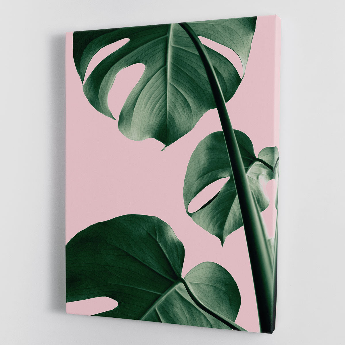 Monstera Pink No 06 canvas print featuring vibrant tropical leaves on a stylish background, perfect for modern decor.