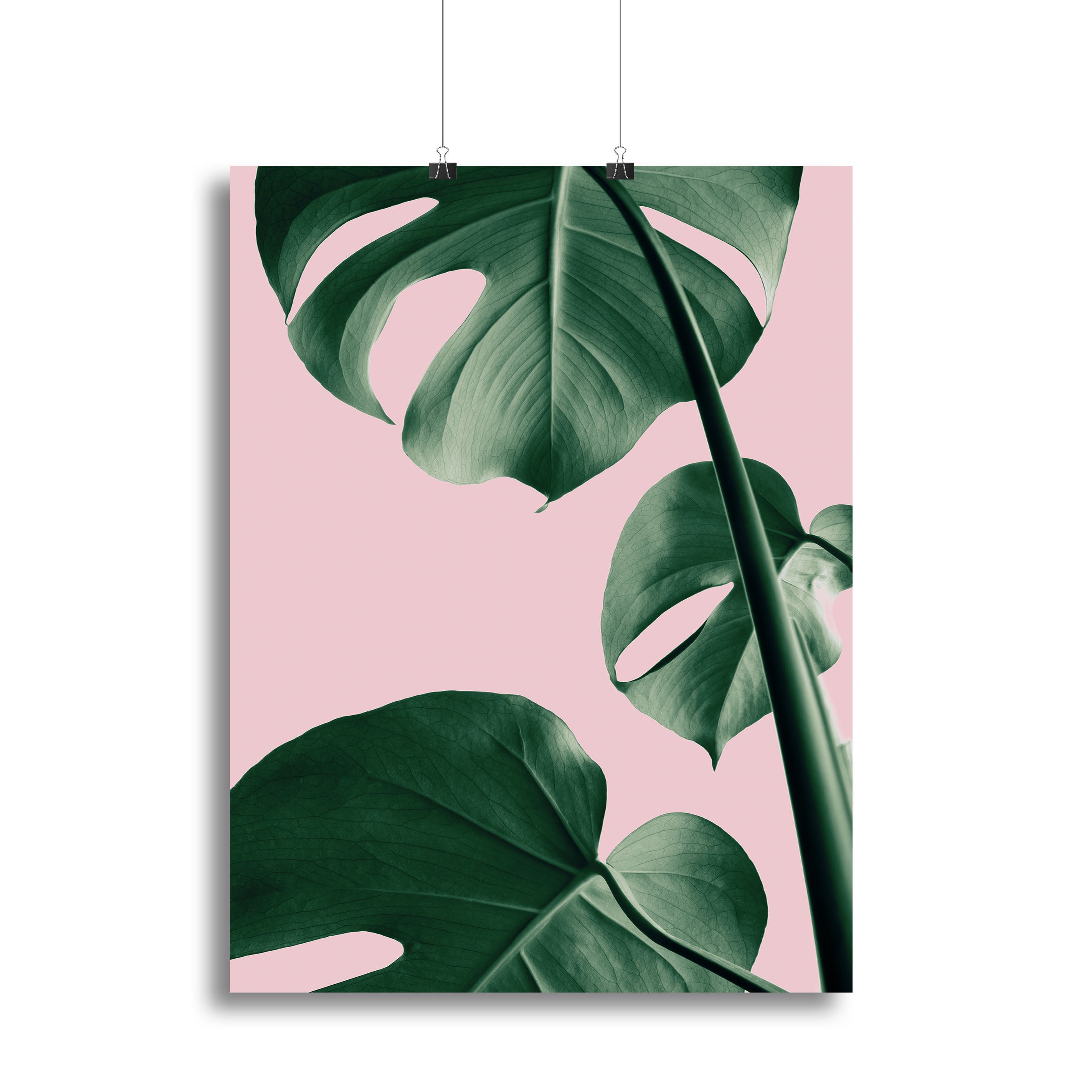 Monstera Pink No 06 canvas print featuring vibrant tropical leaves on a stylish background, perfect for modern decor.