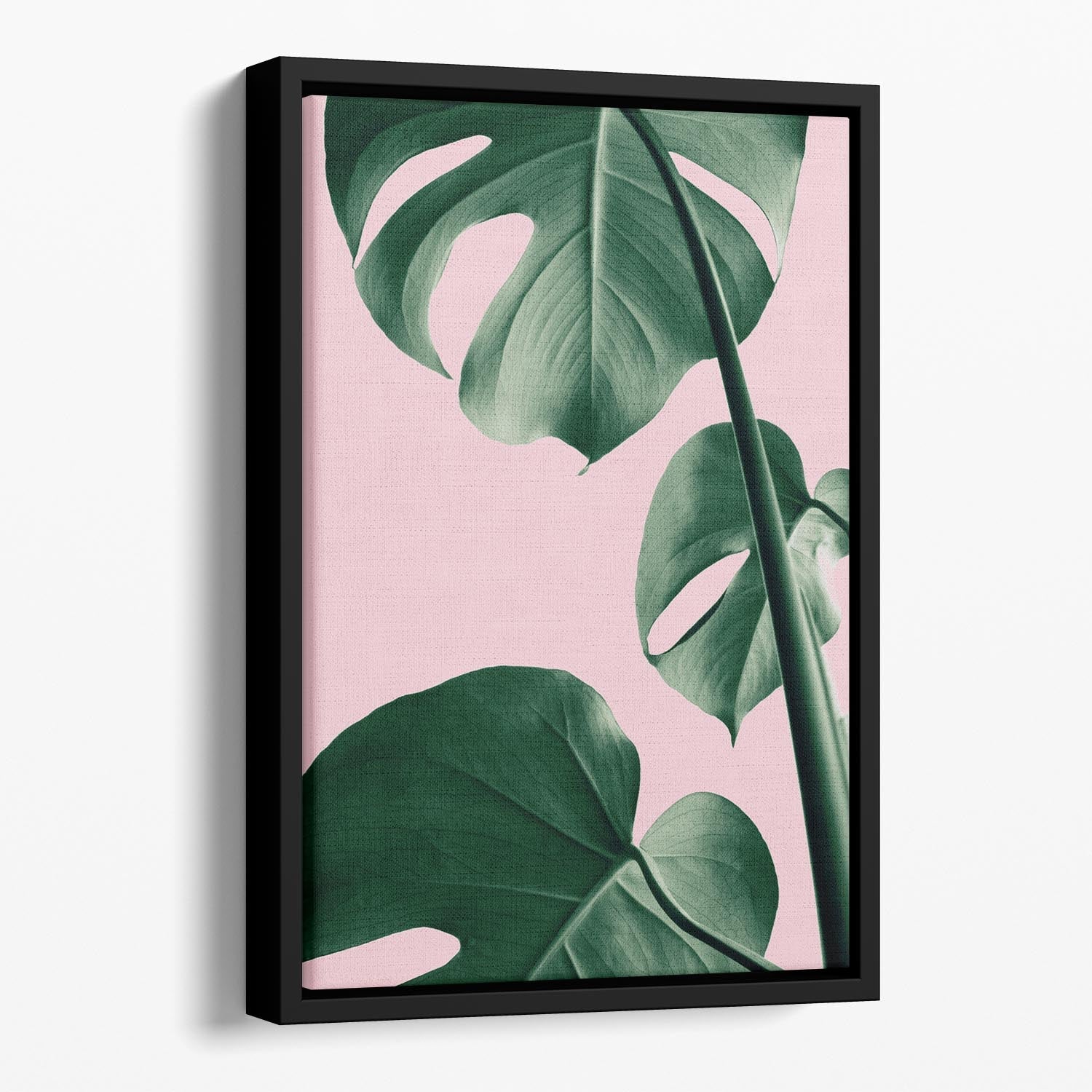 Monstera Pink No 06 Floating Framed Canvas featuring vibrant colors and elegant floating frame design.