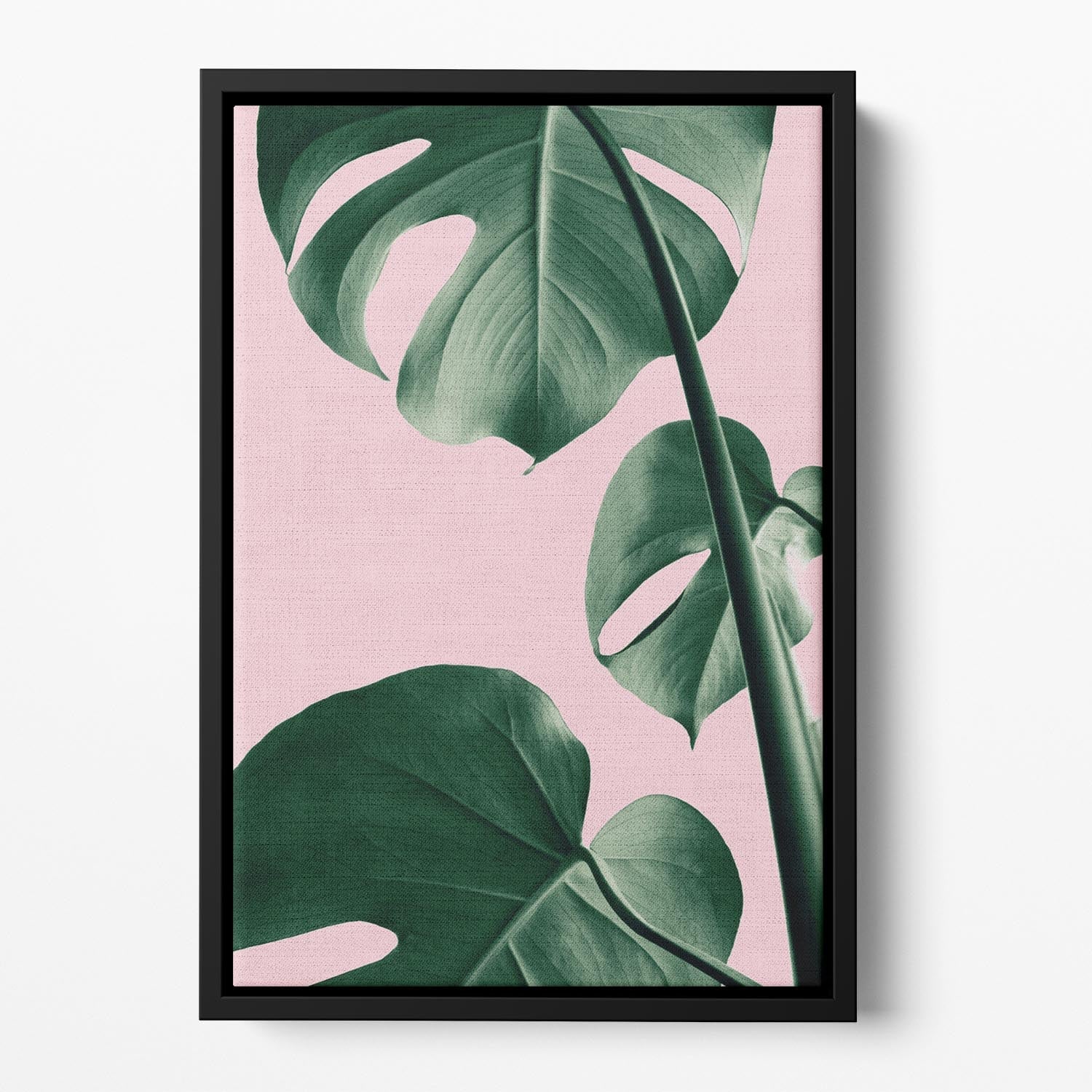 Monstera Pink No 06 Floating Framed Canvas featuring vibrant colors and elegant floating frame design.
