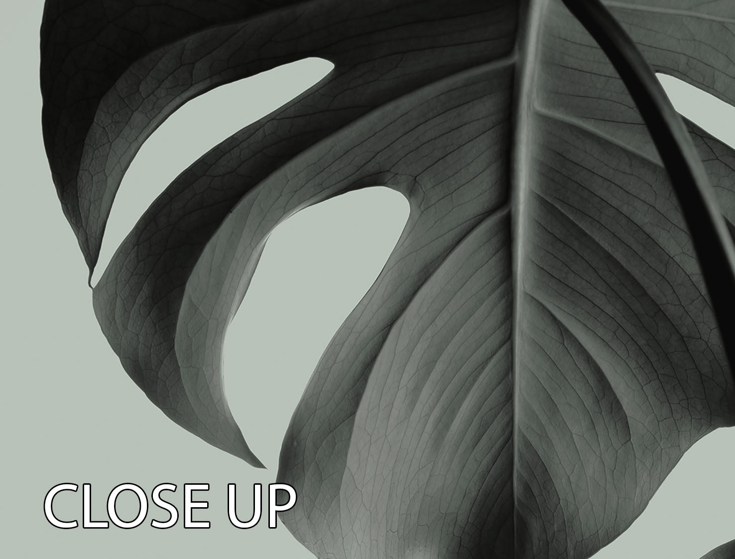 Monstera Teal 03 3 Split Panel Canvas Print featuring vibrant teal monstera leaves on three panels.