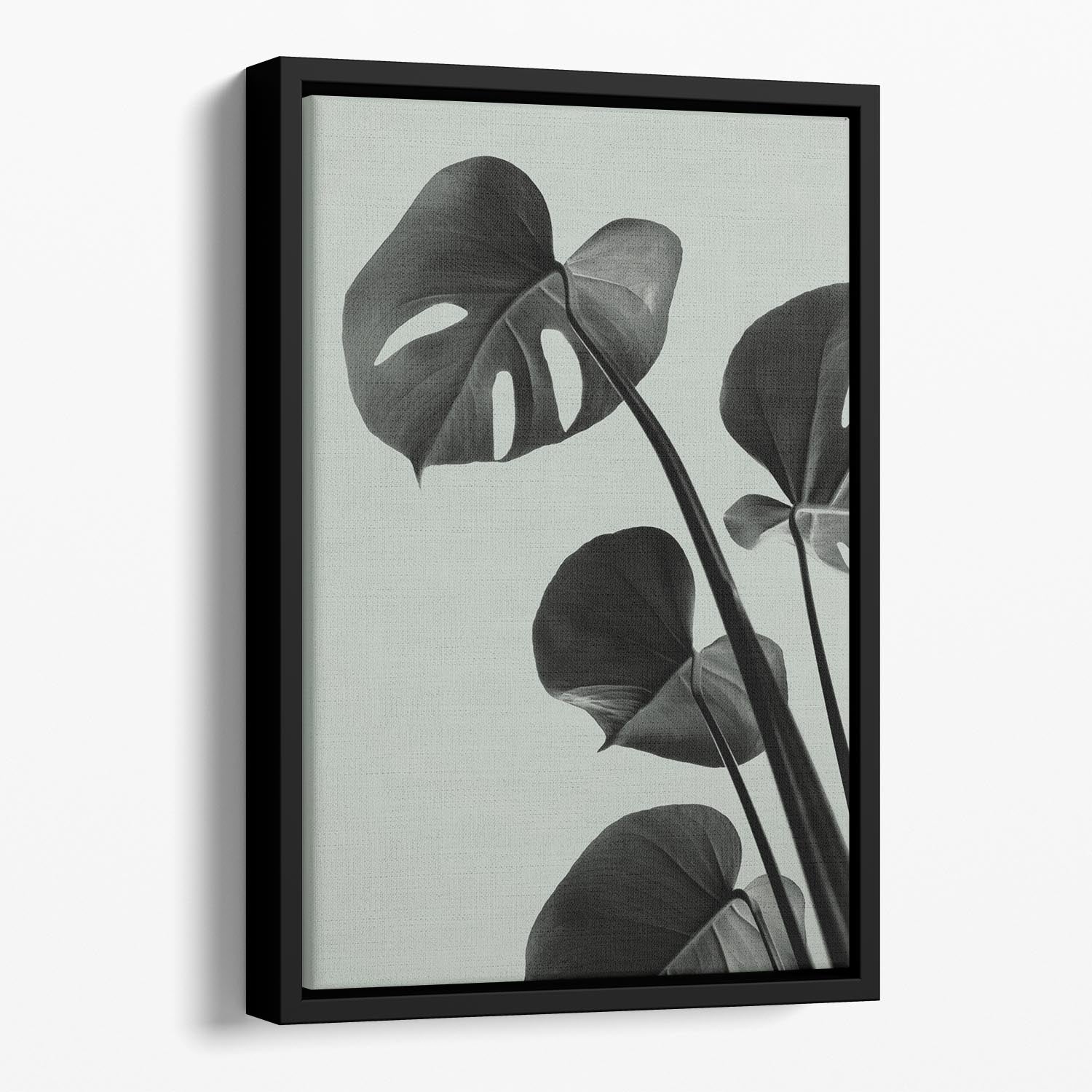 Monstera Teal 04 Floating Framed Canvas featuring vibrant teal abstract design in an elegant wooden frame.