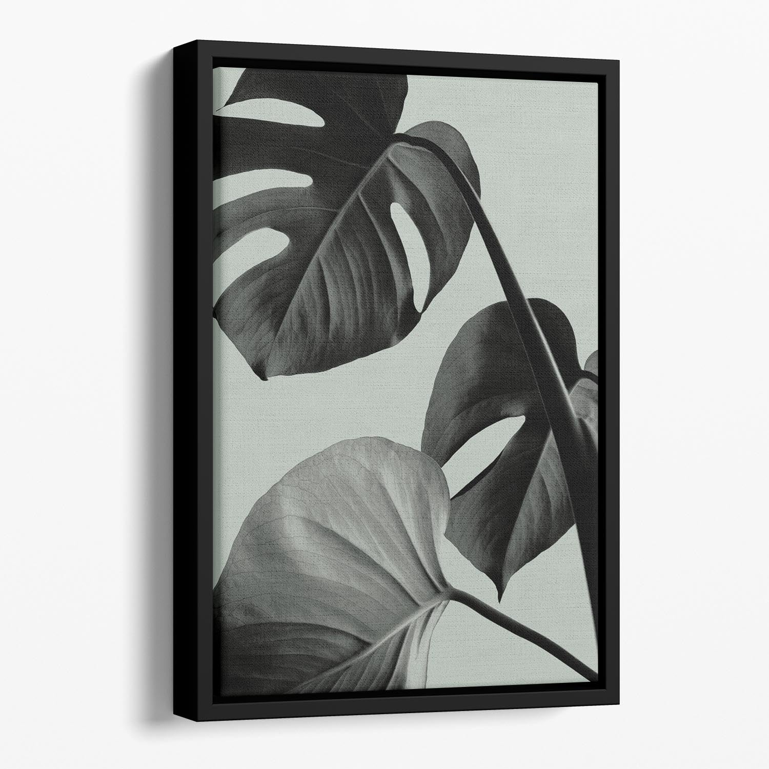 Monstera Teal 07 Floating Framed Canvas featuring vibrant teal colors and elegant wooden frame, perfect for modern home decor.