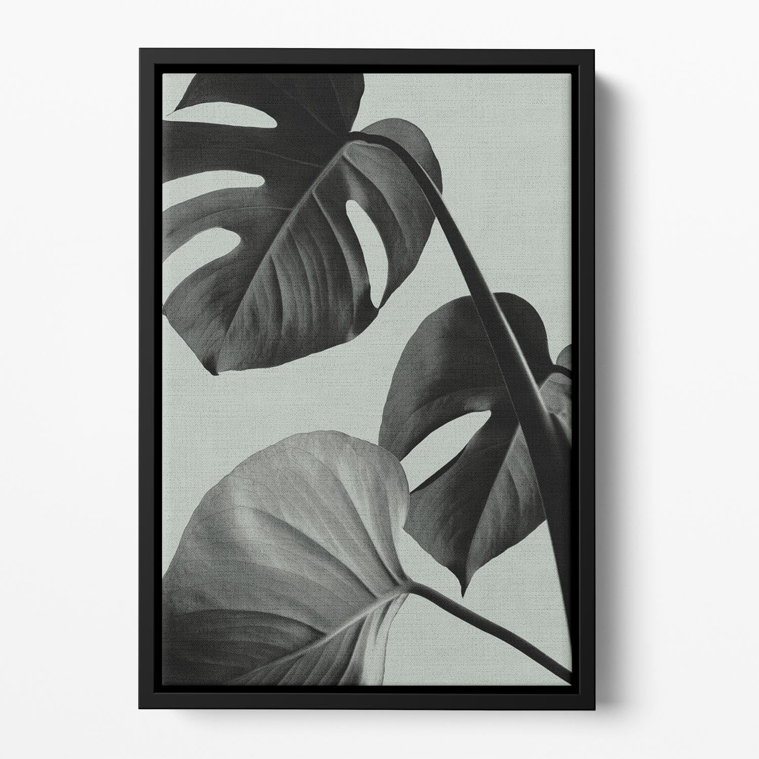 Monstera Teal 07 Floating Framed Canvas featuring vibrant teal colors and elegant wooden frame, perfect for modern home decor.