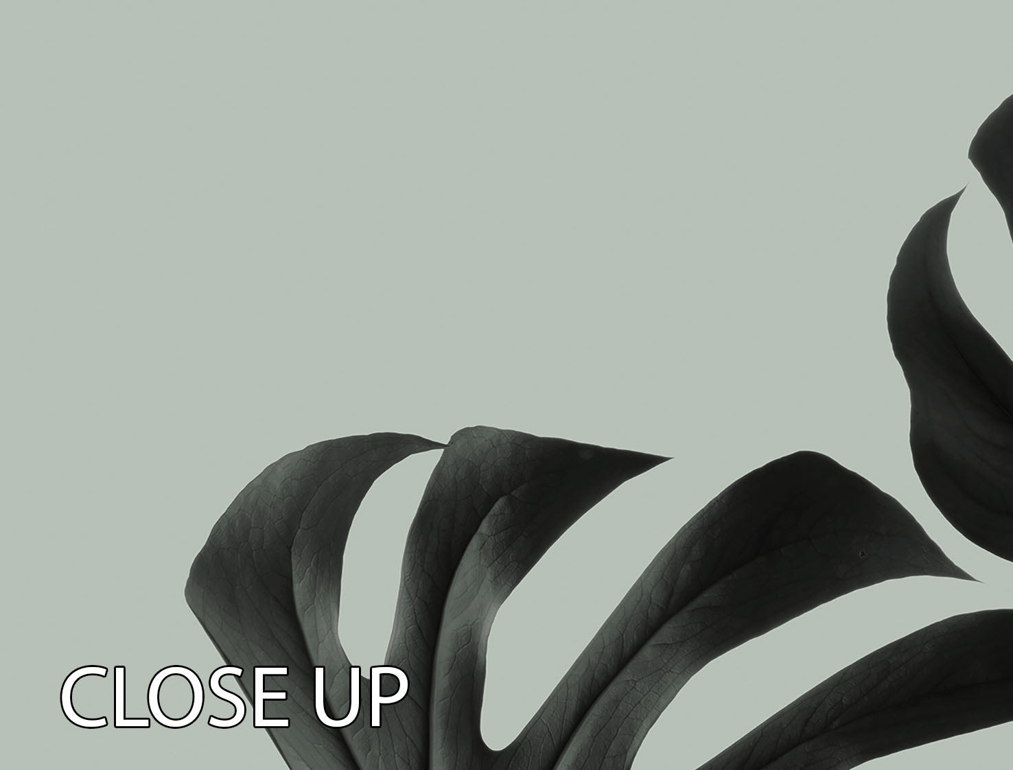 Monstera Teal 09 3 Split Panel Canvas Print showcasing vibrant teal colors and intricate design, perfect for home decor.