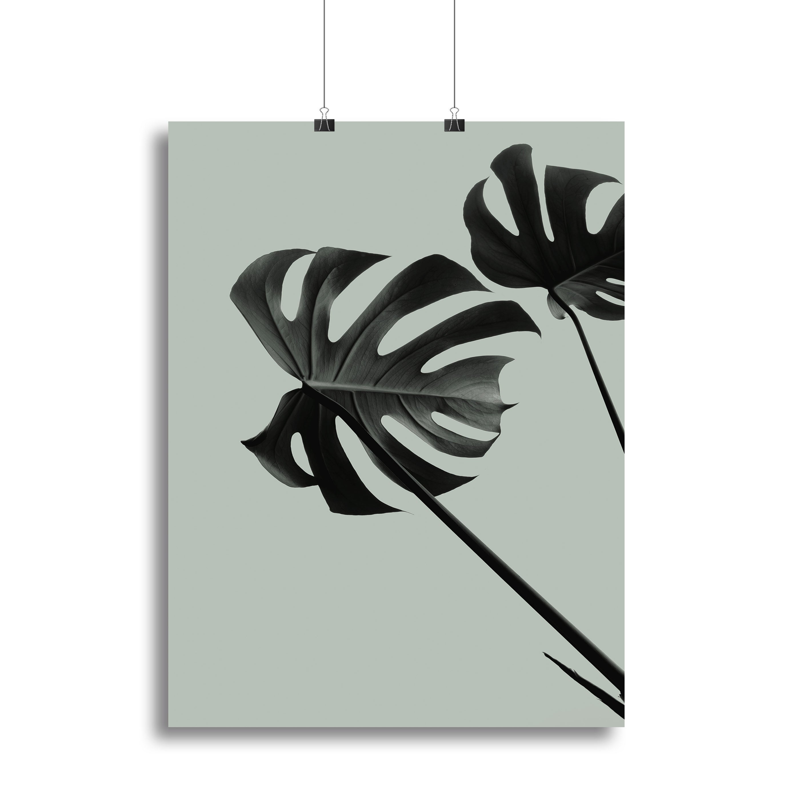 Monstera Teal 09 Canvas Print showcasing vibrant teal leaves on a textured canvas, perfect for modern decor.