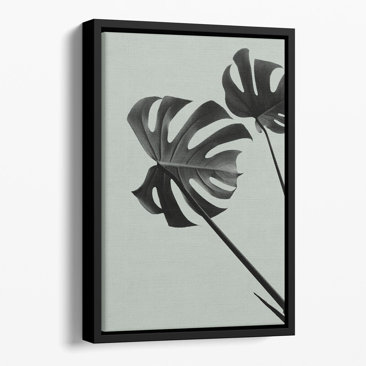 Monstera Teal 09 Floating Framed Canvas featuring vibrant teal abstract design in an elegant wooden frame.