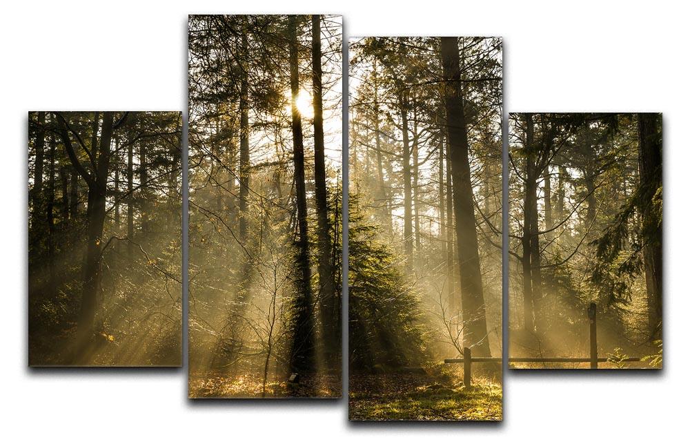 A beautiful 4-split canvas artwork depicting sunlight filtering through a lush forest, creating a serene and dynamic visual experience.