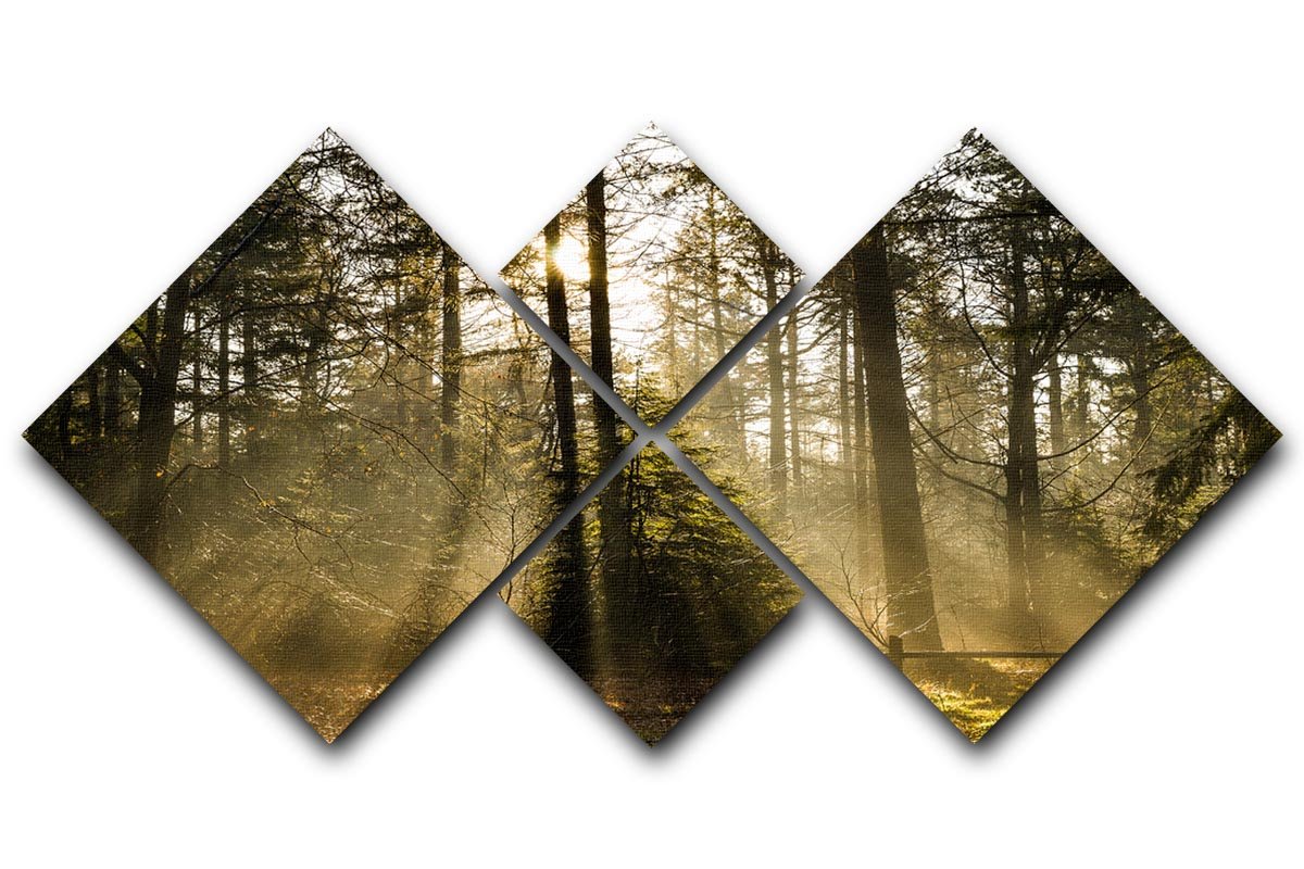 A beautiful 4-square multi-panel canvas depicting a forest at sunrise, showcasing vibrant colors and intricate details.