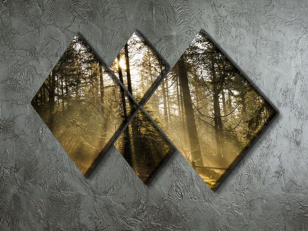 A beautiful 4-square multi-panel canvas depicting a forest at sunrise, showcasing vibrant colors and intricate details.