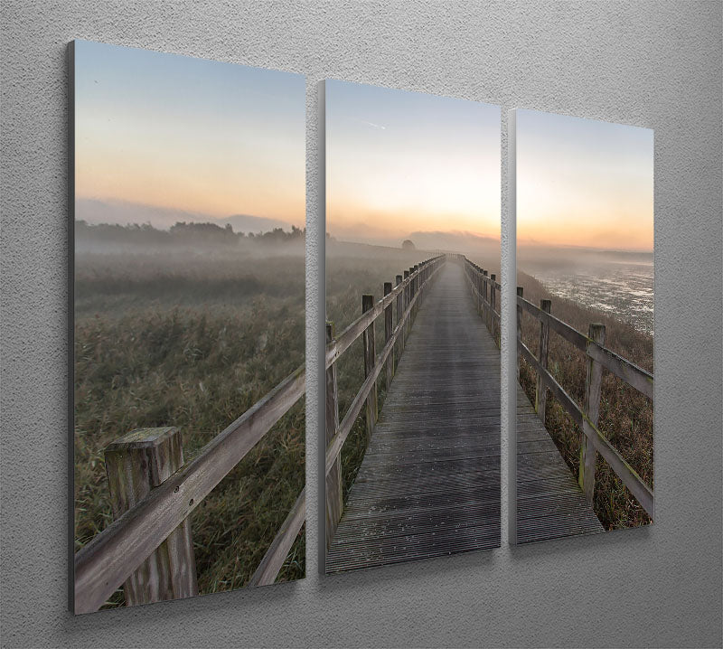 A beautiful 3-panel canvas print depicting a serene morning walk scene, enhancing any interior decor.