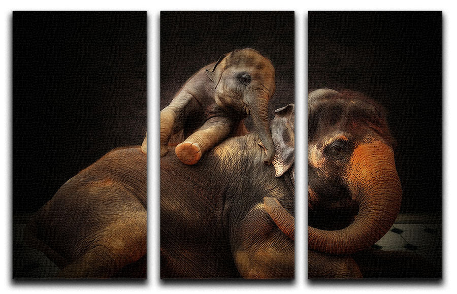 A beautiful 3-panel canvas print featuring a mother and baby elephant, showcasing their bond in a stunning artistic design.