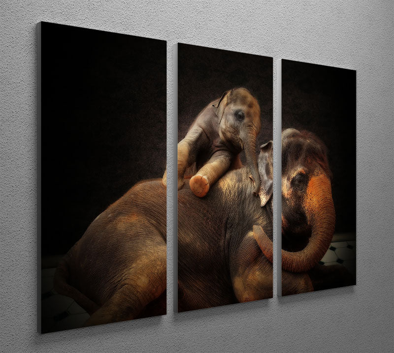 A beautiful 3-panel canvas print featuring a mother and baby elephant, showcasing their bond in a stunning artistic design.