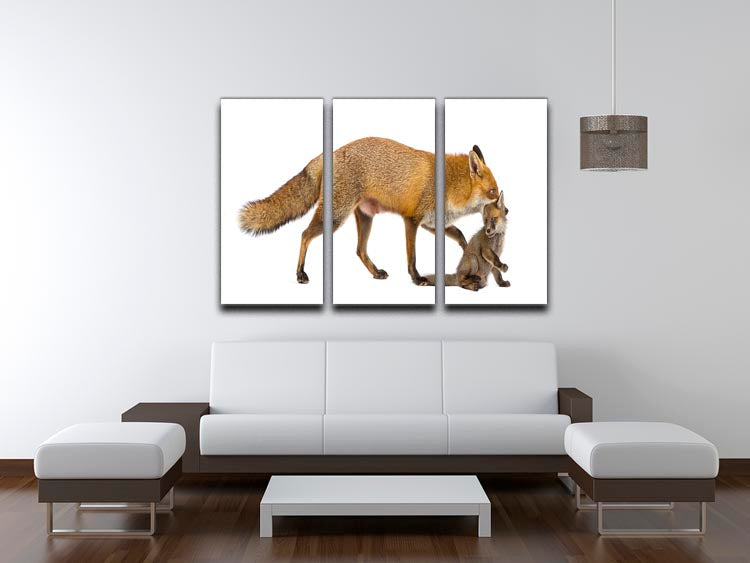 A beautiful 3-panel canvas print depicting a mother fox carrying her cub, showcasing nature's elegance.