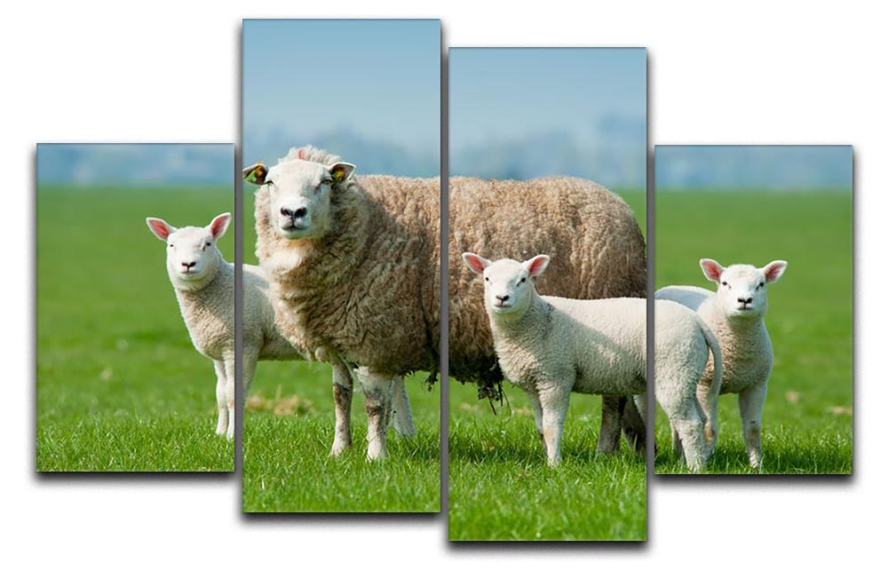 A beautiful 4-split canvas artwork depicting a mother sheep with her lambs in a spring setting, showcasing vibrant colors and a serene atmosphere.