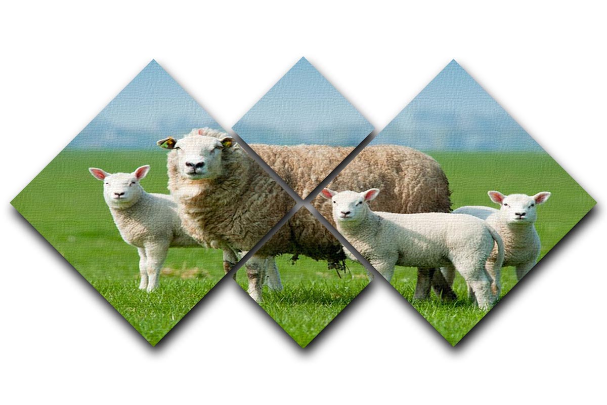 A beautiful 4-square canvas featuring a mother sheep and her lambs in a spring setting, showcasing soft colors and a harmonious design.