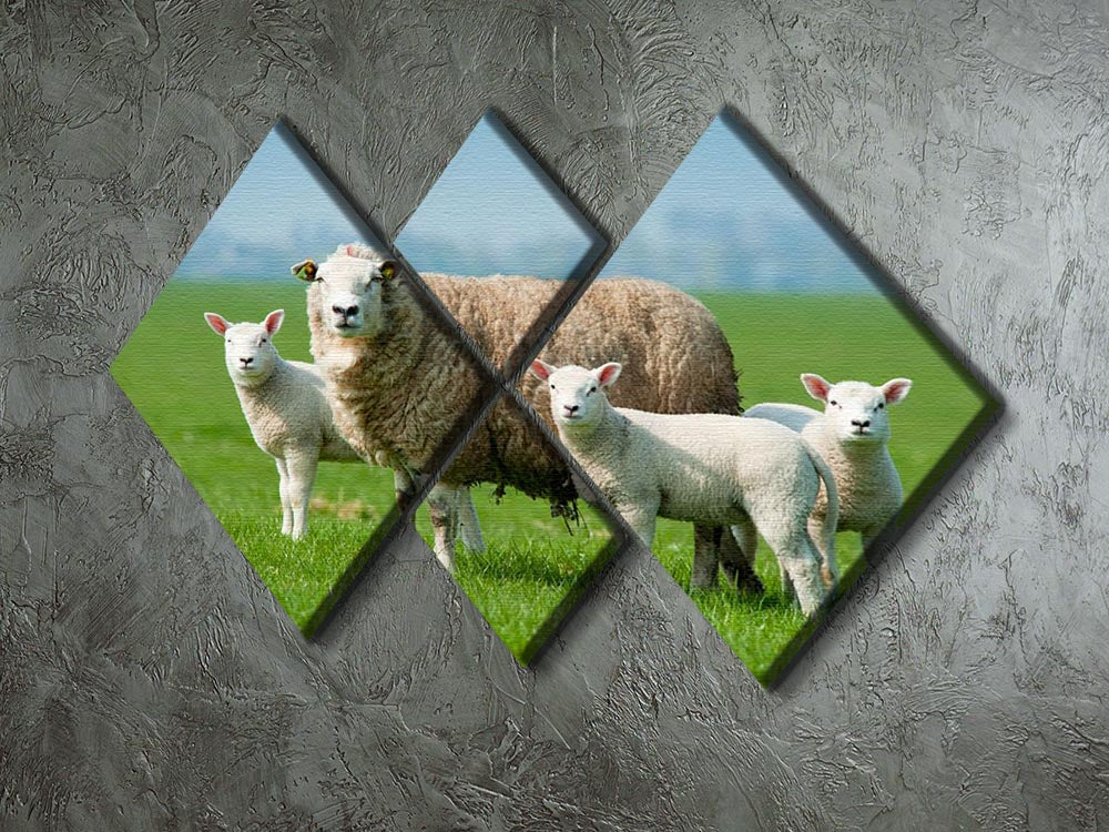 A beautiful 4-square canvas featuring a mother sheep and her lambs in a spring setting, showcasing soft colors and a harmonious design.