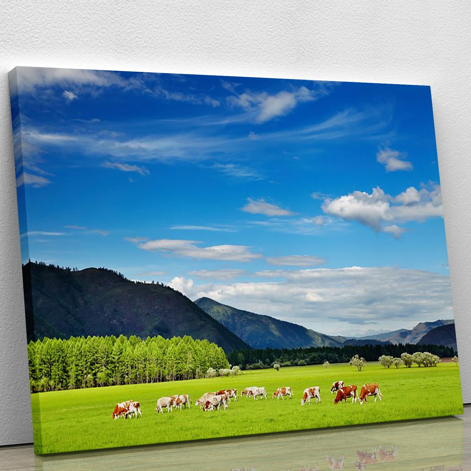 A beautiful canvas print of a mountain landscape featuring grazing cows under a clear blue sky, perfect for home decor.