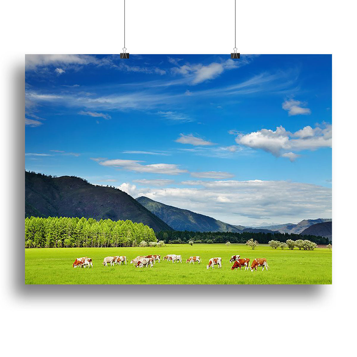 A beautiful canvas print of a mountain landscape featuring grazing cows under a clear blue sky, perfect for home decor.