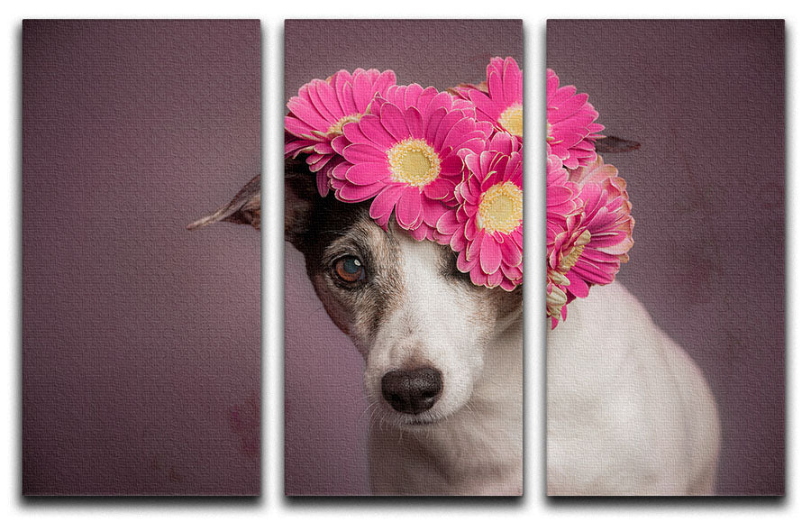 Mrs Spring 3 Split Panel Canvas Print featuring three elegant canvases with vibrant colors and captivating designs.